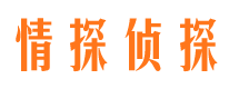 景谷市私家侦探